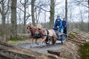 oefenmarathon 2016 MG 3411-3411 